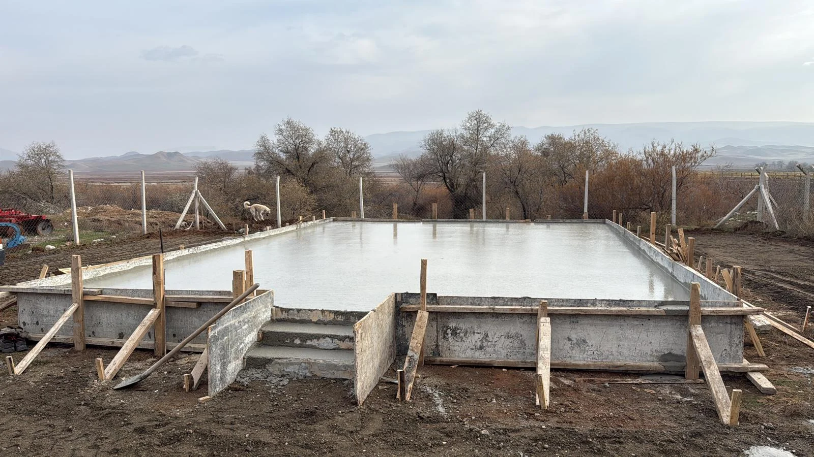 galeri_20260311_192031_3306131e78336f8e9a63